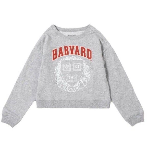 HARVARD UNIVERSITY Girls Cropped Sweatshirt Crewneck School Seal Logo Gray 14/16 - Picture 2 of 8